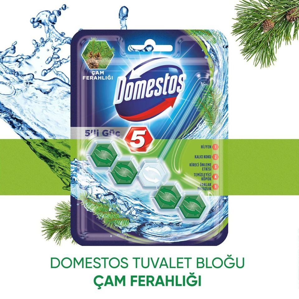 Domestos 5'li Güç Çam Ferahlığı Wc Blok 55 GR