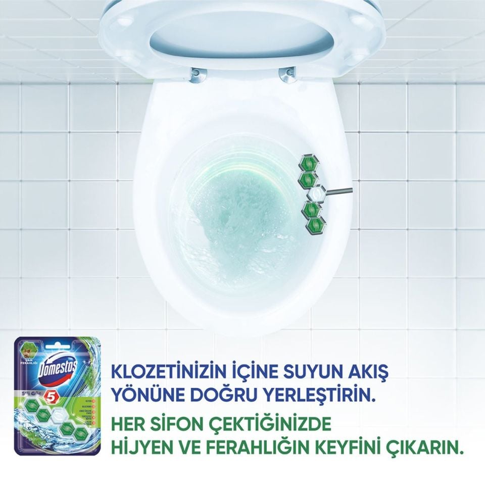 Domestos 5'li Güç Çam Ferahlığı Wc Blok 55 GR