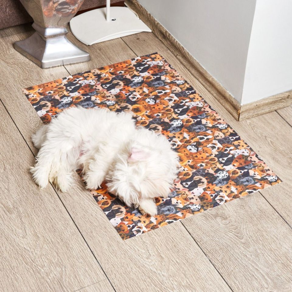 Asterion Pet Havlu ve Matı Köpek Desen Baskılı 50x70 cm