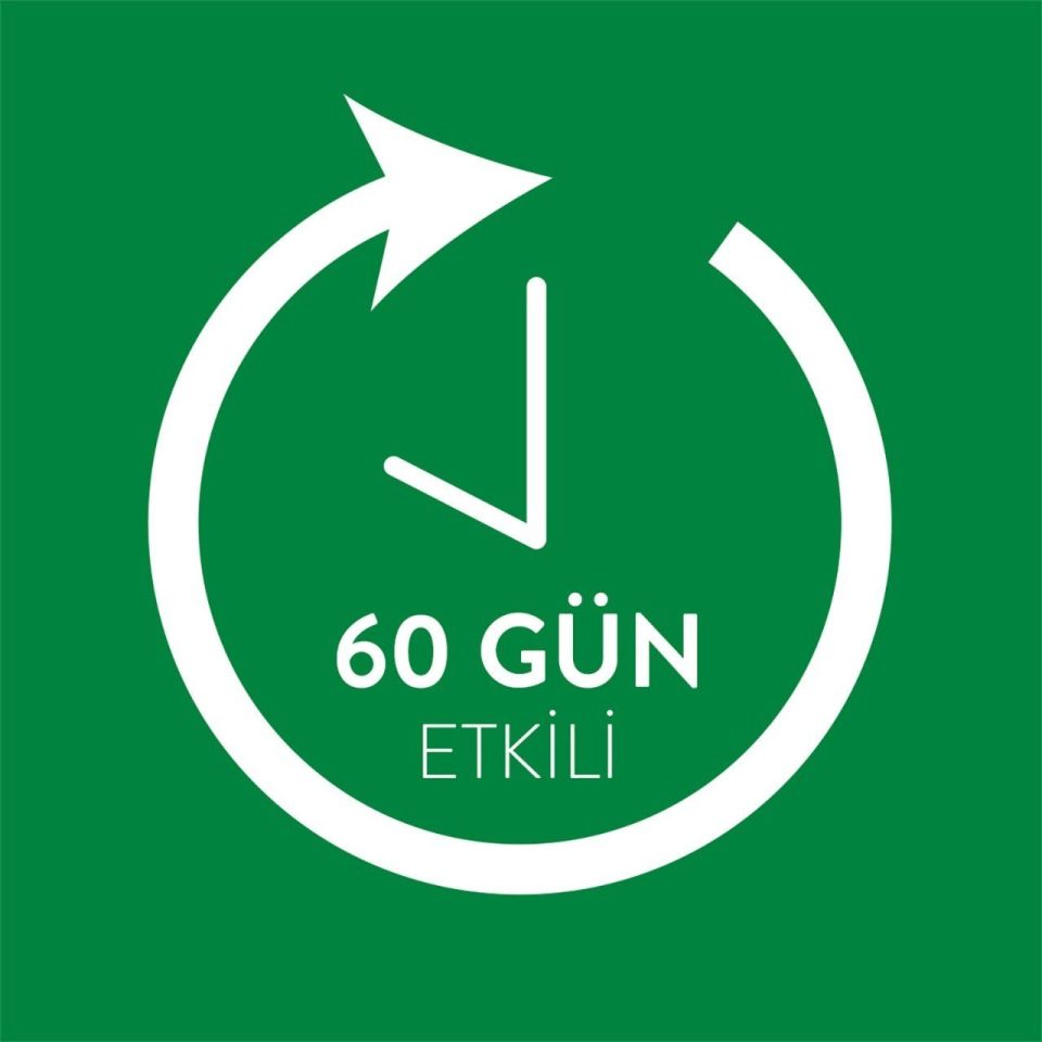 Air Wick Freshmatic Oda Kokusu  Bahar Çiçekleri Kit + Yedek