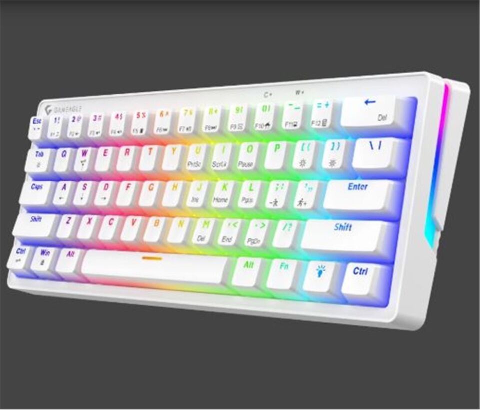 Gameagle GE2015 Poseıdon RGB Kablolu Us Layout Mekanik Beyaz Oyuncu Klavyesi