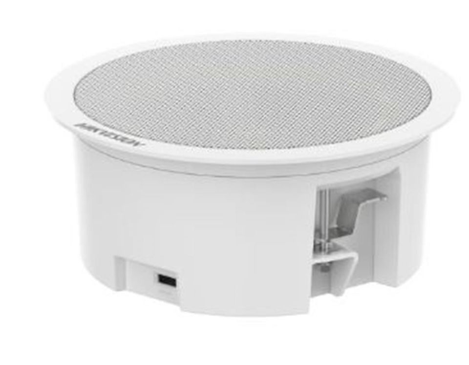 Hikvision DS-QAZ0206G1-S 6W Network Asma Tavan İkincil Hoparlörü