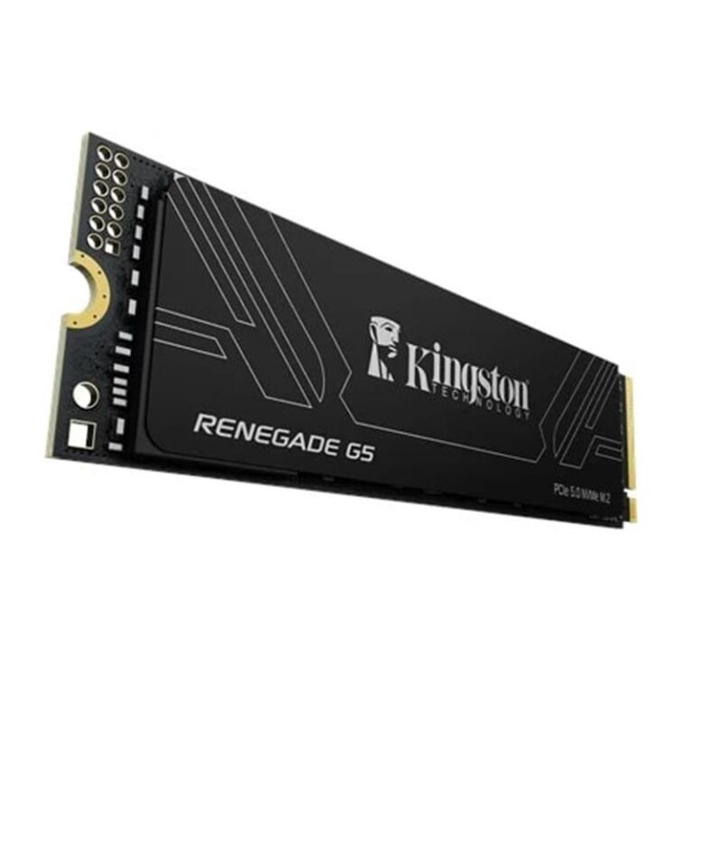 Kingston 1TB Renegade SRNG2S-1T0 G5 14200-11000MB-s PCIe 5.0 NVMe SSD Disk
