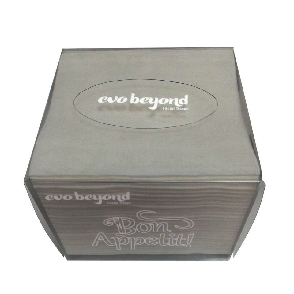 Evo Beyond Küp Kutu Mendil 2 Katlı 150 Yaprak