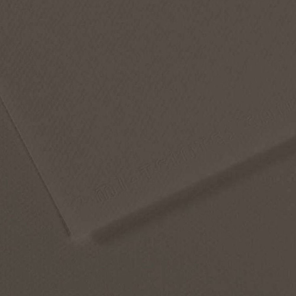 Canson Fon Kartonu (Dokulu) Mı-Teıntes Sh Canmt 50x65 160 GR Grey 184