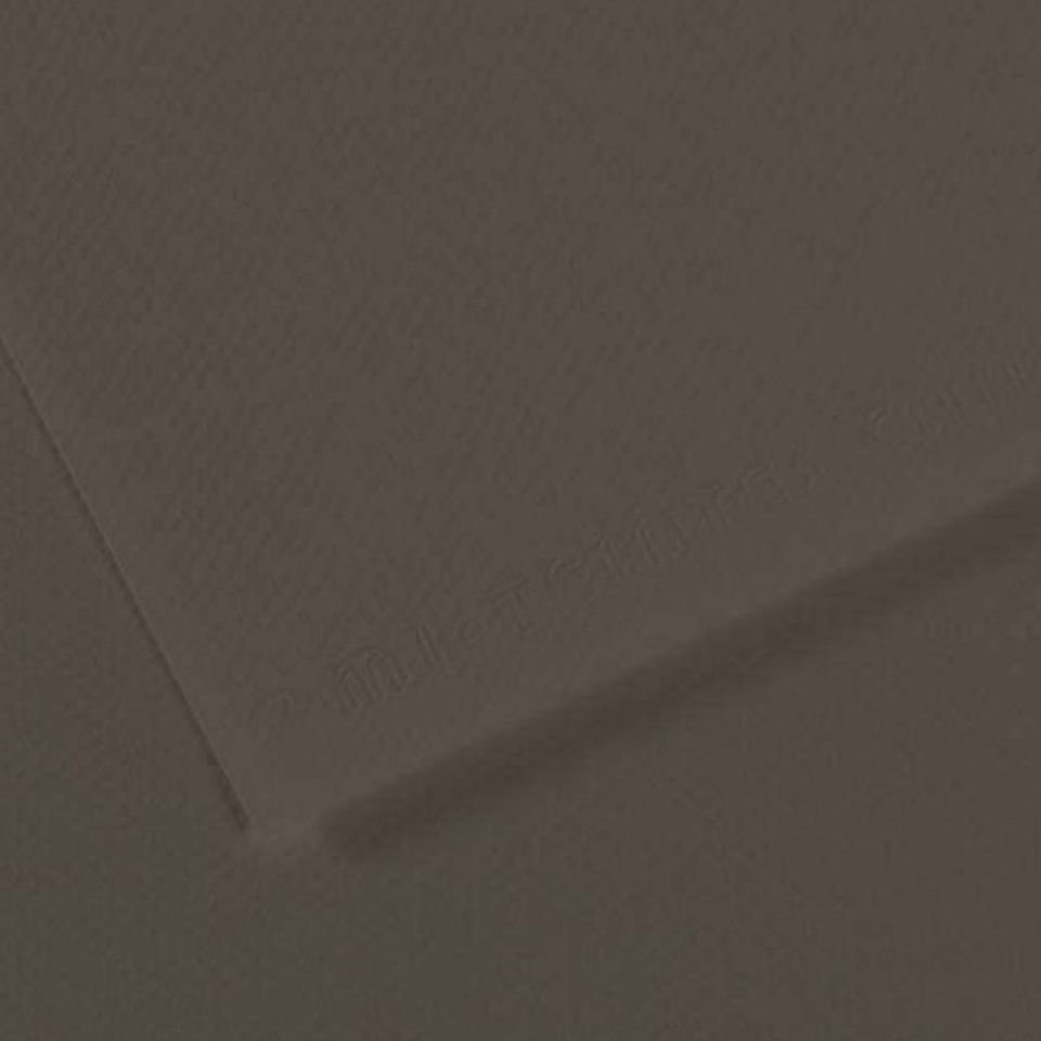 Canson Fon Kartonu (Dokulu) Mı-Teıntes Sh Canmt 50x65 160 GR Grey 184