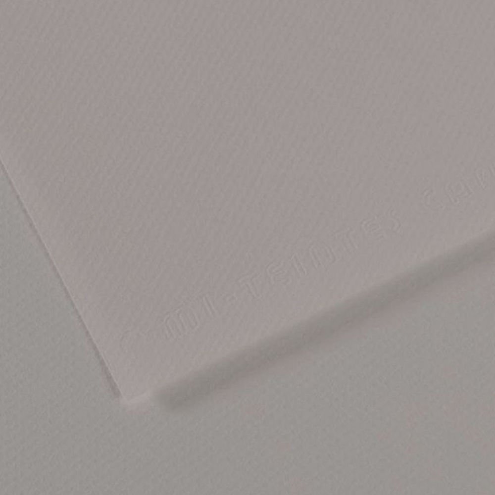 Canson Fon Kartonu (Dokulu) Mı-Teıntes Sh Canmt 50x65 160 GR Grey 186