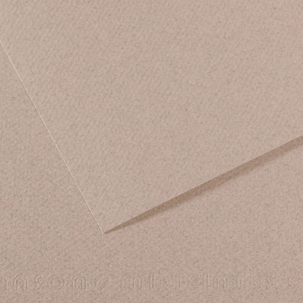 Canson Fon Kartonu (Dokulu) Mı-Teıntes Sh Canmt 50x65 160 GR Grey 426