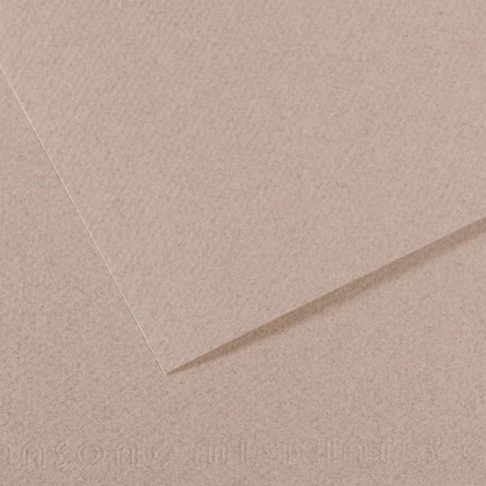 Canson Fon Kartonu (Dokulu) Mı-Teıntes Sh Canmt 50x65 160 GR Grey 426